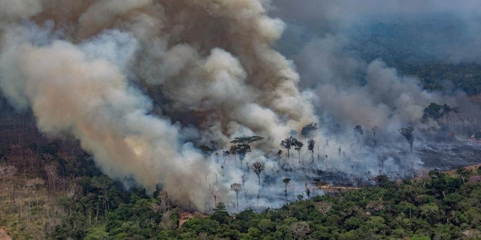 EDITORIAL:Proteger la casa común: de la sanción a la conciencia