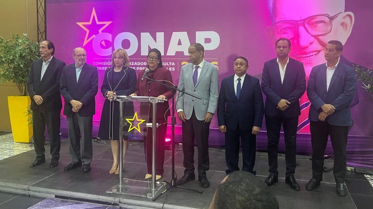 PLD suspende consulta ciudadana de octubre por falta de equipos para el voto automatizado